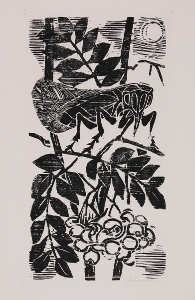 Willem Grimm (1904-1986) Holzschnitt DIE GRILLE 1950 Gri101 C3