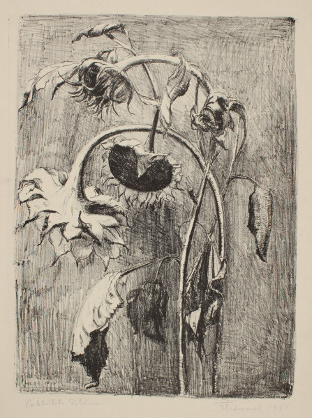 Frömmel, Franz Josef (1889-1968) Lithografie VERBLÜHTE BLUMEN - 1951