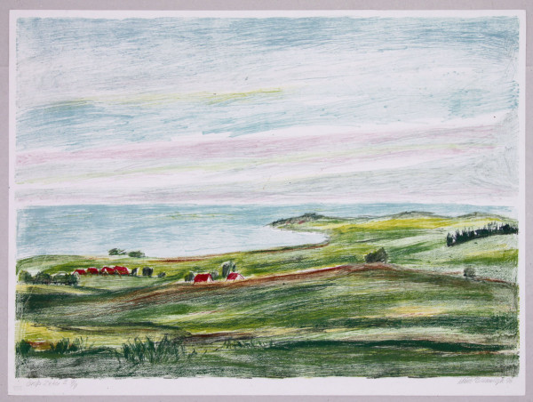 Brennigk, Heinz (1925–2016) signierte Farblithografie GROß ZICKER II - 1996