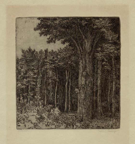 Steininger, Ferdinand (1882-1973) signierte Radierung WALDESSTILLE